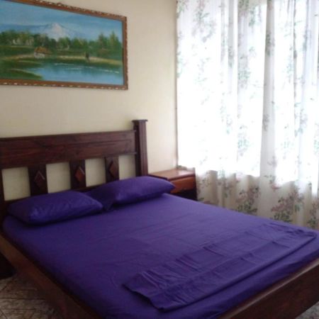 La Pension Backpackers Ла Фортуна Экстерьер фото